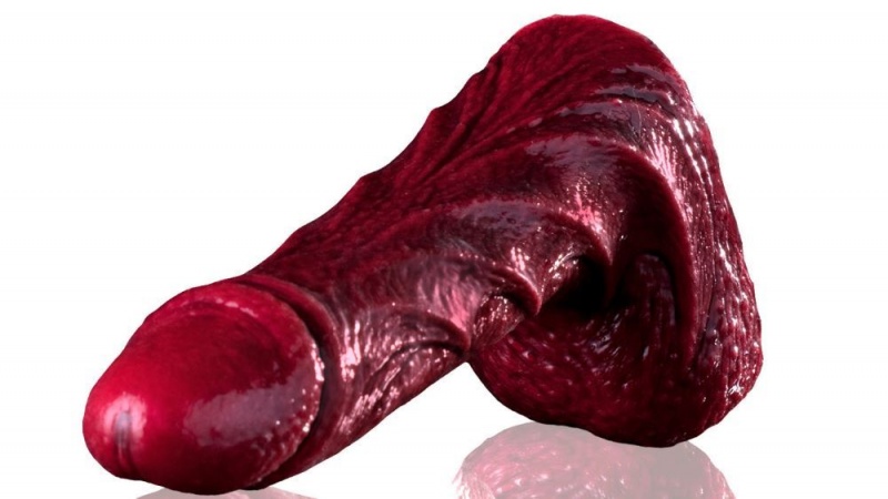 Fleshlight Drac Freaks Dildo | UAE BJISR1258