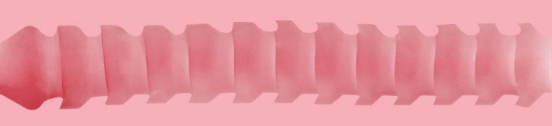 Fleshlight GO Jolt™ Butt Male Masturbators | UAE EVNMO3164
