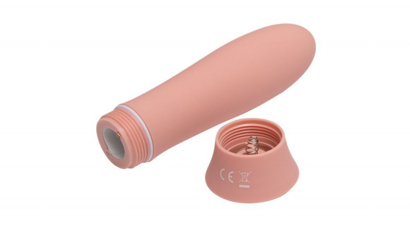 Fleshlight Poppy Bloom Bullet Vibrators | UAE HOYPQ5483